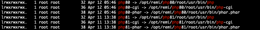 Check PHP versions and binaries