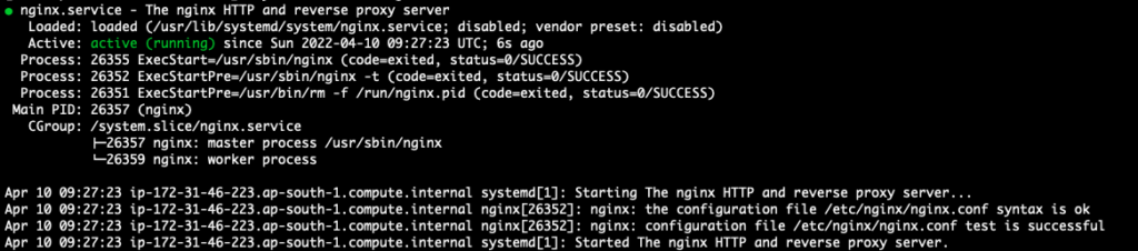 Checking the Nginx service status