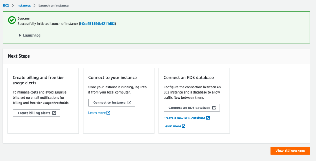AWS instance launched